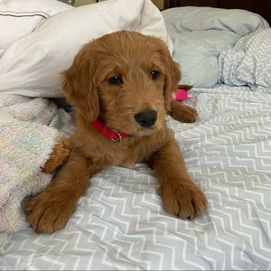 Meet your Posher, Jacquelyn